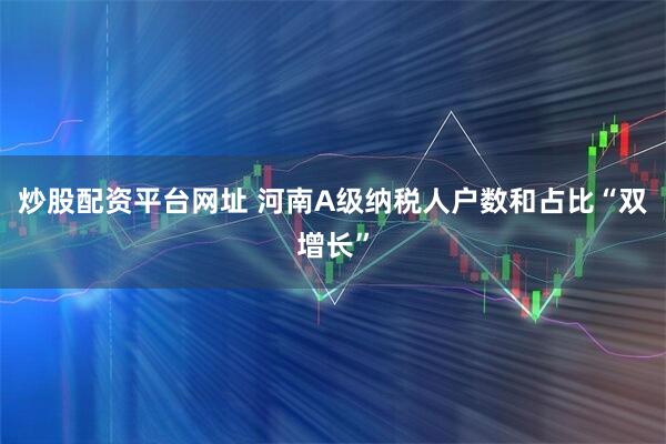 炒股配资平台网址 河南A级纳税人户数和占比“双增长”