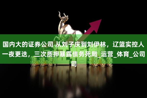 国内大的证券公司 从刘子庆到刘伊林，辽篮实控人一夜更迭，三次质押暴露债务死局_运营_体育_公司
