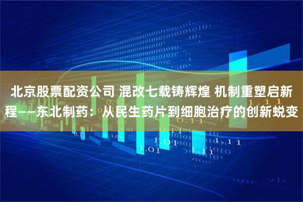 北京股票配资公司 混改七载铸辉煌 机制重塑启新程——东北制药：从民生药片到细胞治疗的创新蜕变