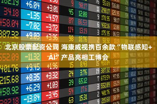 北京股票配资公司 海康威视携百余款“物联感知+AI”产品亮相工博会